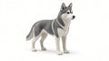 Figurka 3D — Husky Syberyjski (20 cm)
