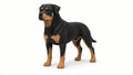 Figurka 3D — Rottweiler (20 cm)