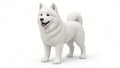 Figurka 3D — Samoyed (20 cm)